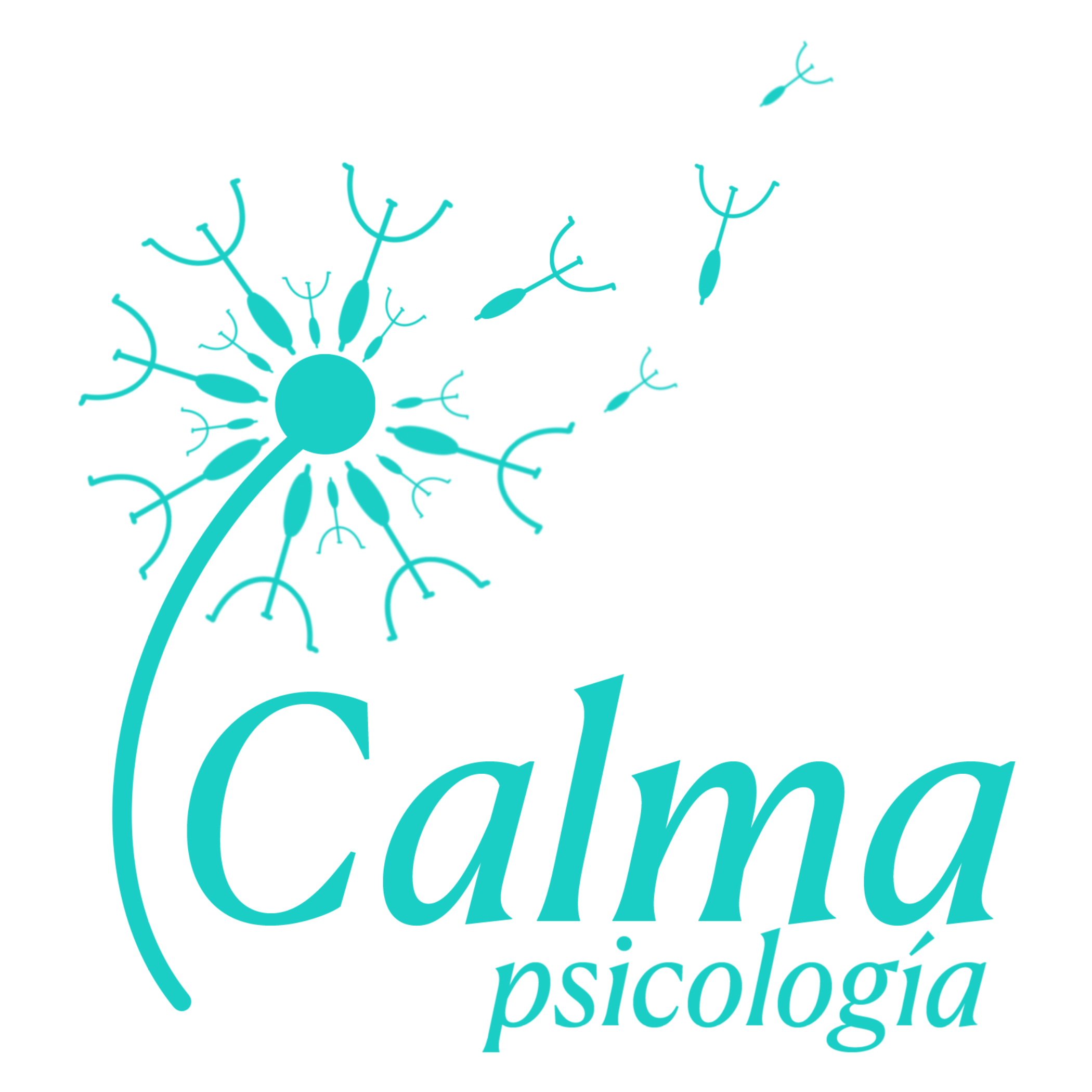 Calma Logo